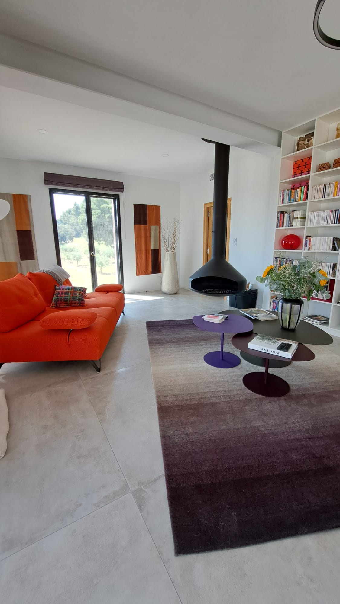Salon with fireplace and library